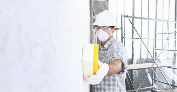 Mold Odor Removal Services in Hokendauqua, PA